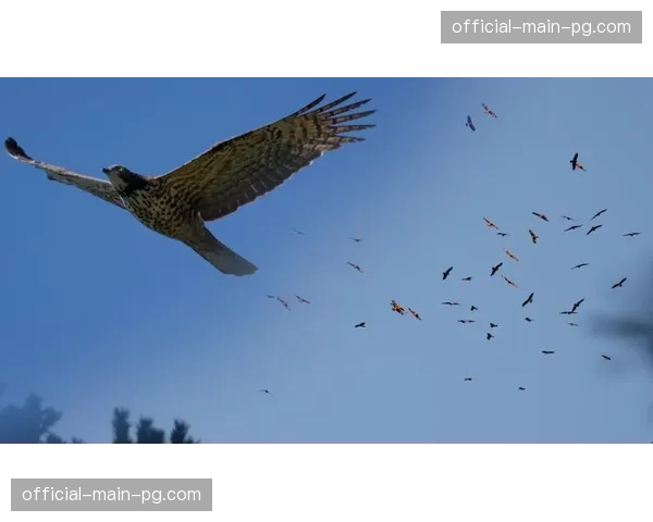 亚洲国际排联考虑在青年比赛中测试“鹰自由人可参与后排进攻”新规